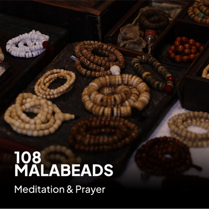 Wisdom Focus Bracelet | Bodhi Seed and Dzi Bead Bracelet for Concentration and Spiritual Insight