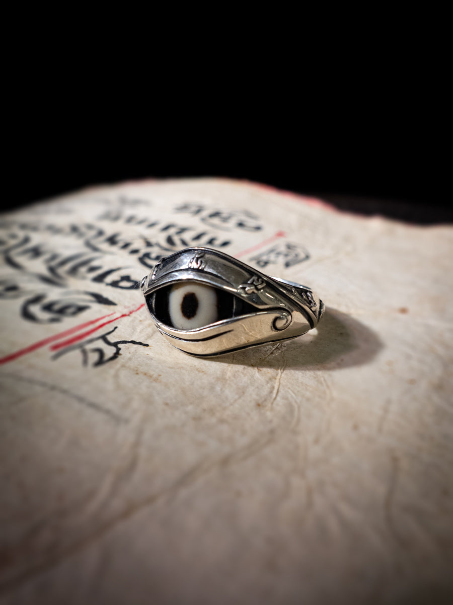 Eye of Protection Dzi Agate & 925 Silver Ring